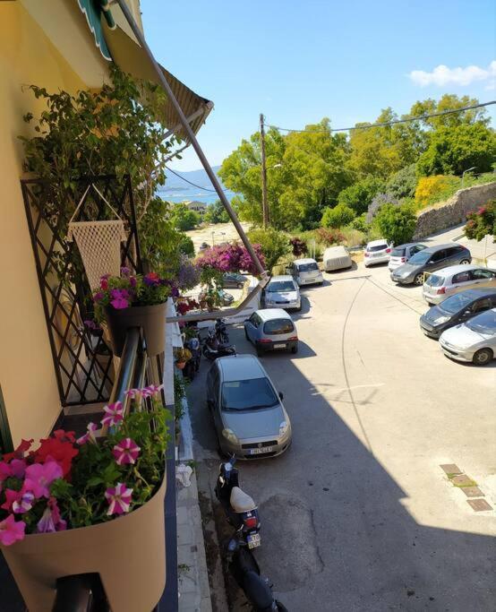 Xenofon'S Cozy Apartment Corfu  Kültér fotó