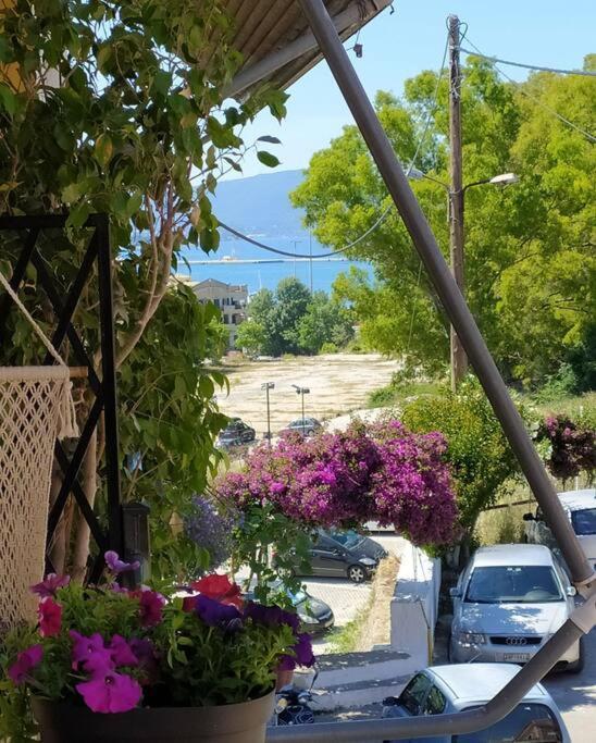 Xenofon'S Cozy Apartment Corfu  Kültér fotó